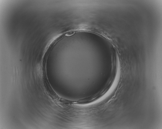 X0000063460200200601231427