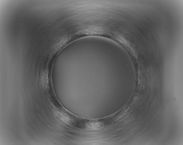 X0000063460202200601231427