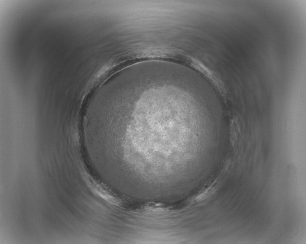 X0000063460203200601231427