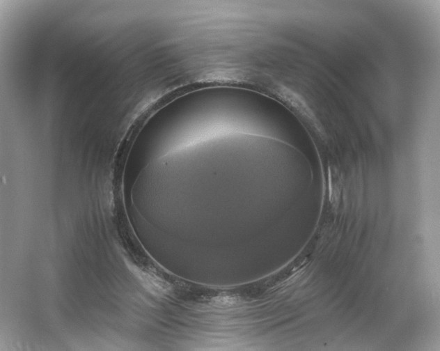 X0000063460204200601231427