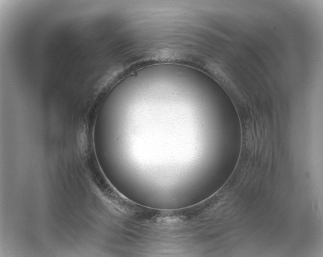 X0000063460208200601231427