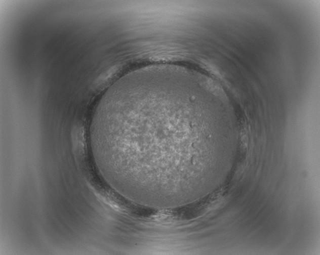 X0000063460211200601231427