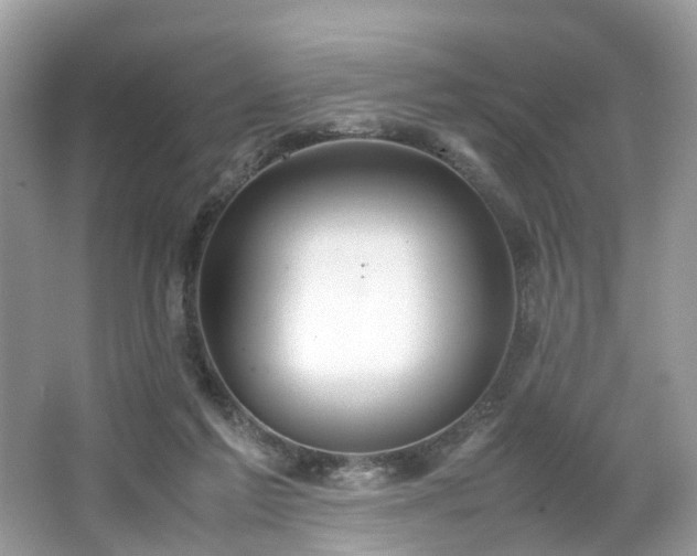 X0000063460213200601231427