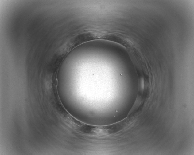 X0000063460221200601231427