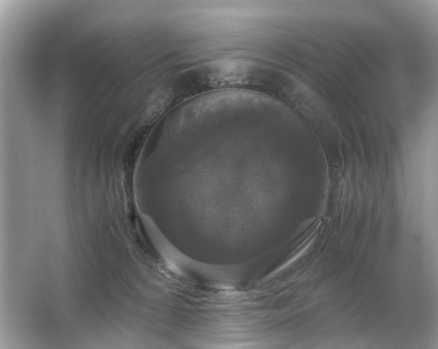 X0000063460224200601231426