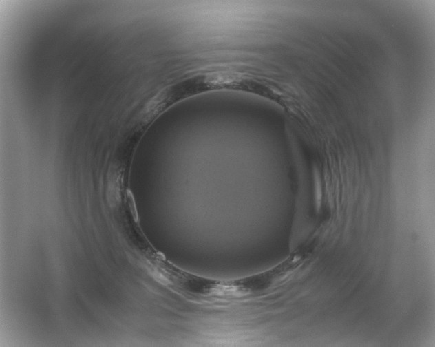 X0000063460227200601231426