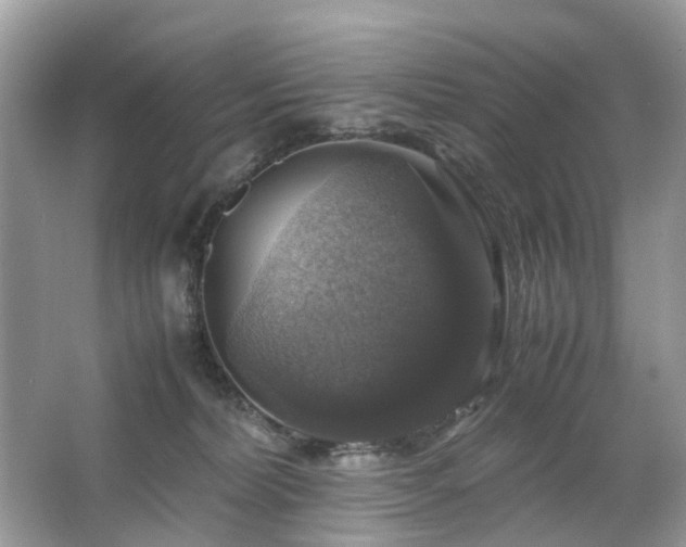 X0000063460228200601231426