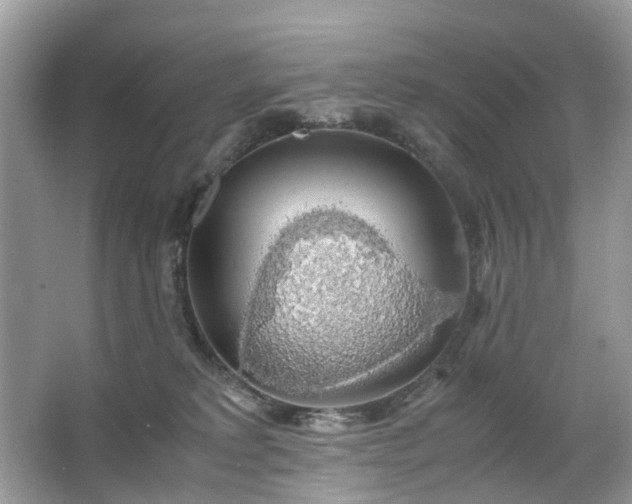 X0000063460229200601231426