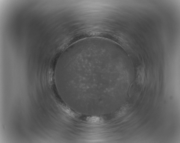 X0000063460230200601231426