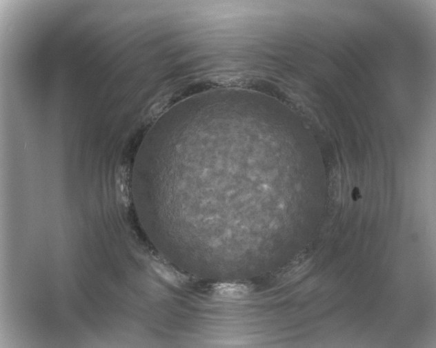 X0000063460234200601231426