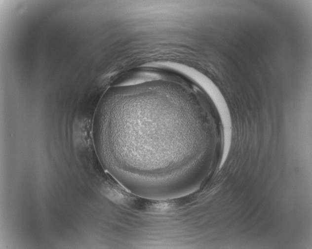 X0000063460237200601231426