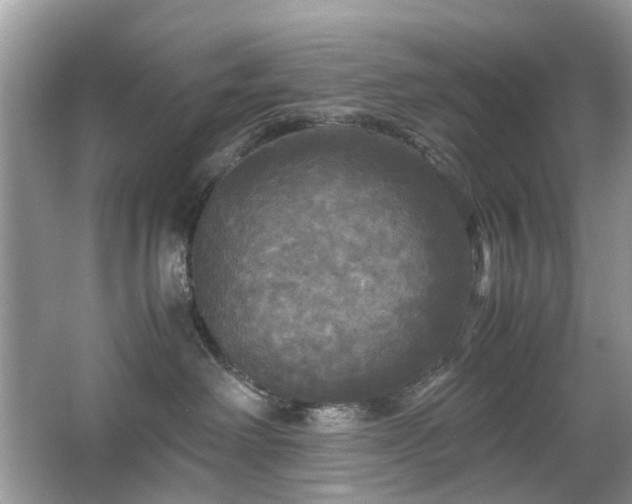 X0000063460238200601231426