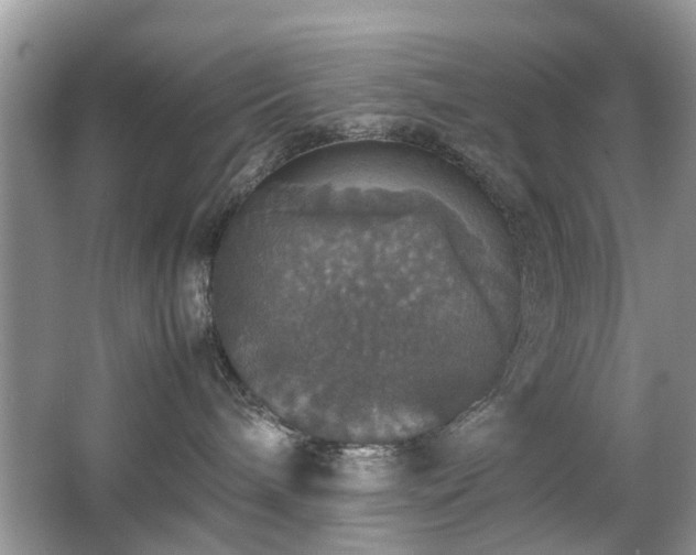 X0000063460240200601231426