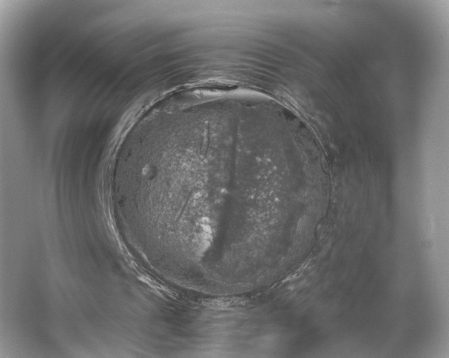 X0000063460241200601231425