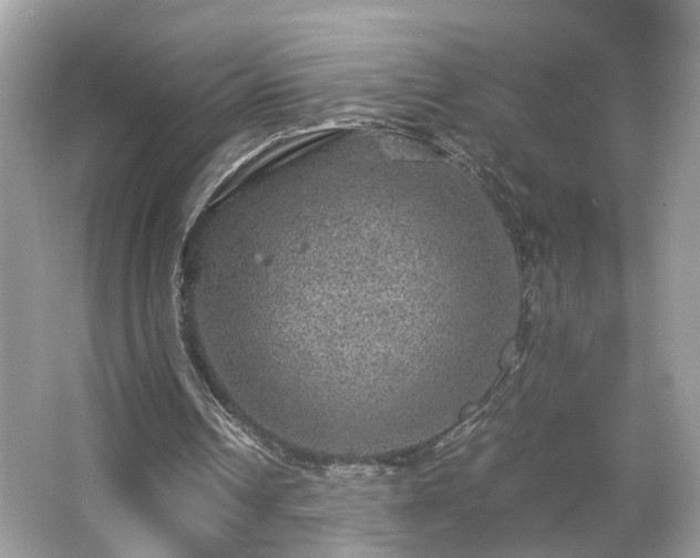 X0000063460242200601231425