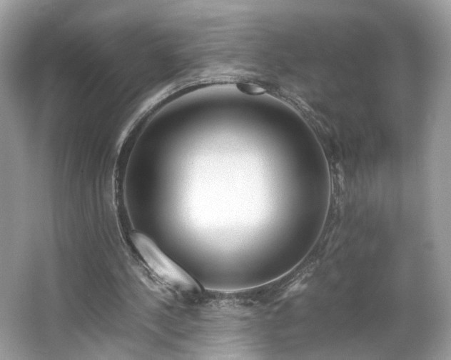 X0000063460244200601231425