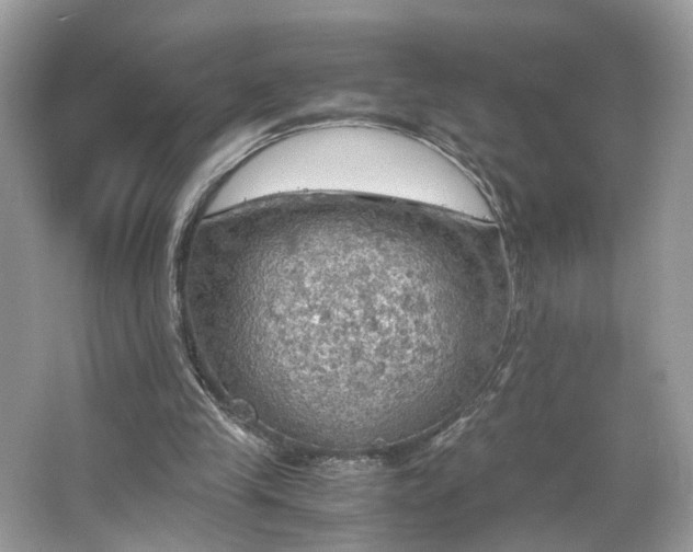 X0000063460245200601231425