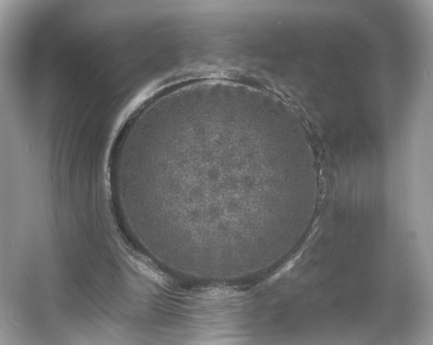 X0000063460246200601231425