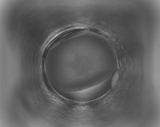 X0000063460247200601231425