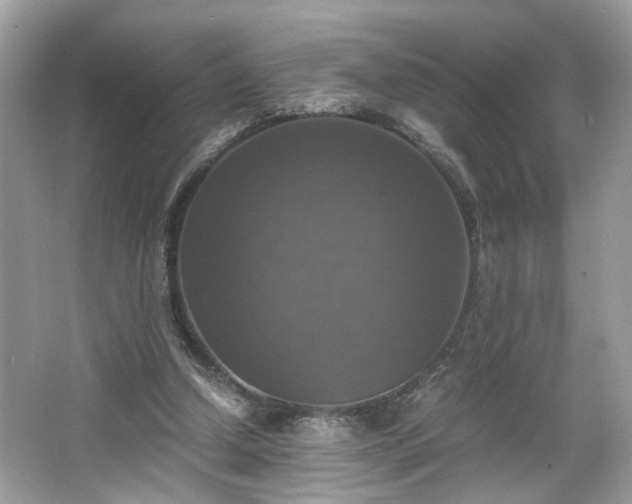 X0000063460250200601231426