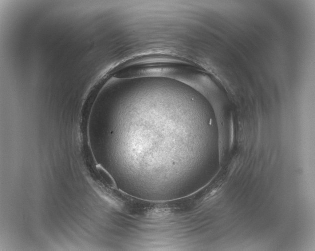 X0000063460252200601231426