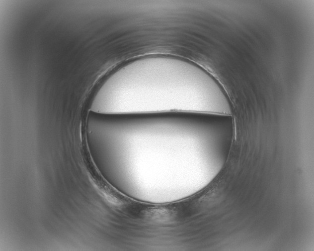 X0000063460253200601231426