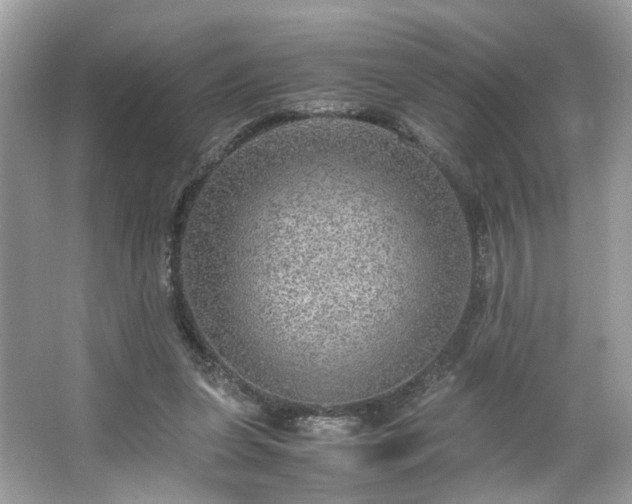 X0000063460255200601231426