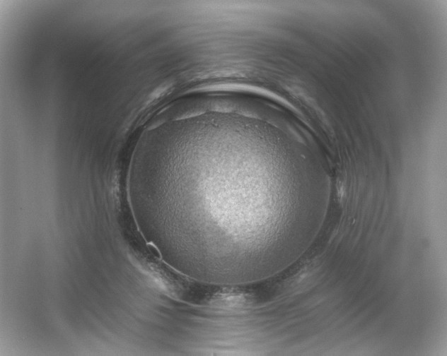 X0000063460260200601231426