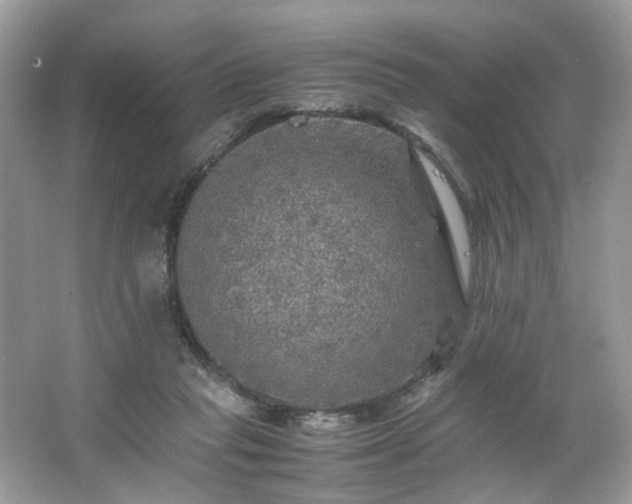 X0000063460261200601231426