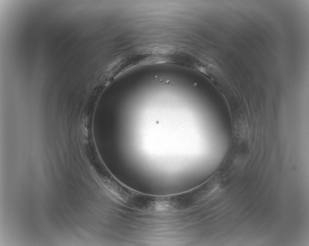 X0000063460264200601231426