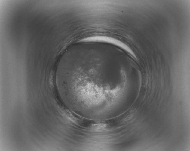 X0000063460266200601231426