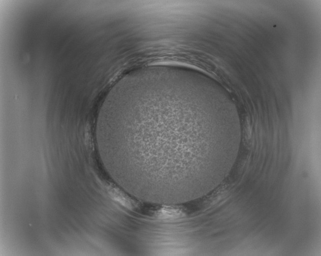 X0000063460270200601231426