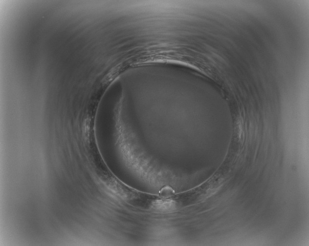 X0000063460271200601231426