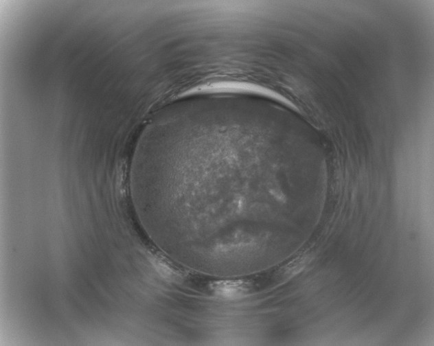 X0000063460273200601231426