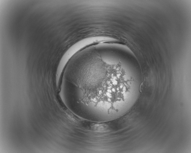 X0000063460277200601231426