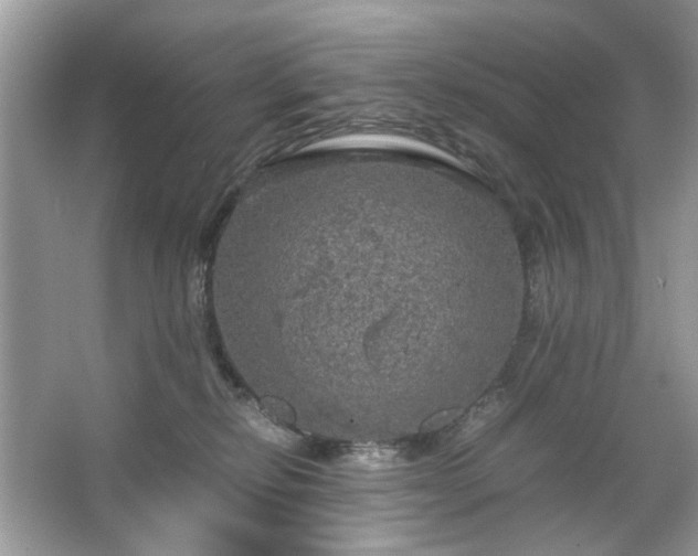 X0000063460278200601231426