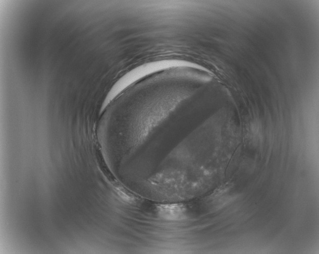 X0000063460281200601231426