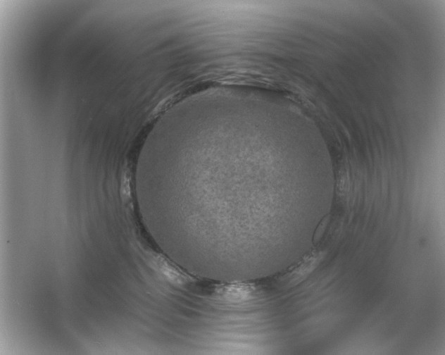 X0000063460282200601231426