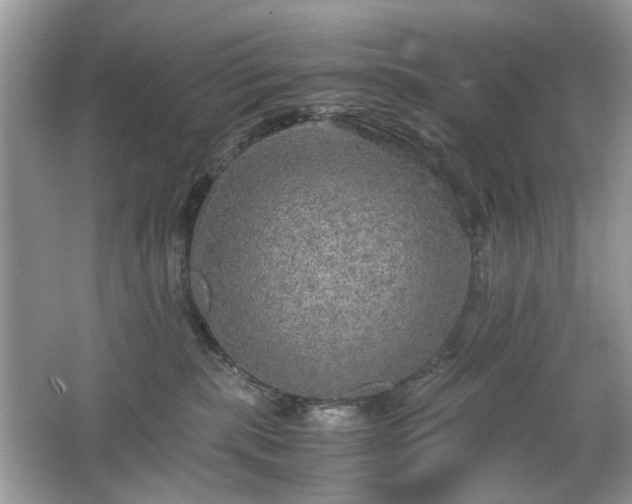 X0000063460283200601231426