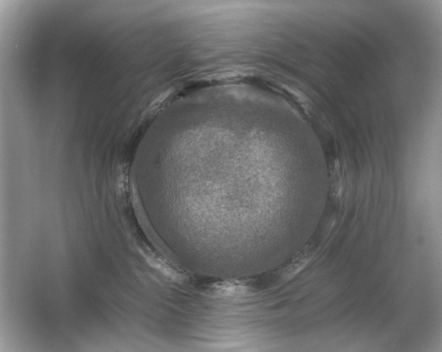 X0000063460284200601231426