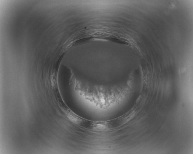 X0000063460285200601231426