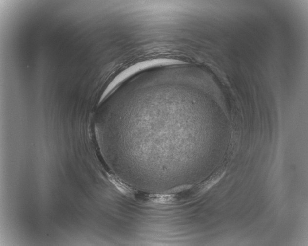 X0000063460288200601231426