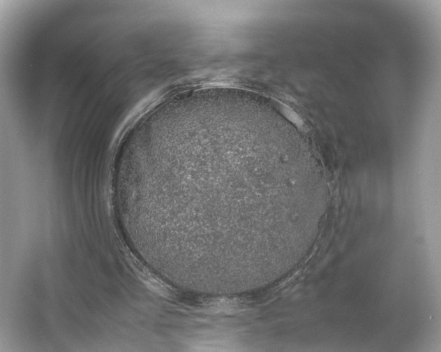 X0000063460293200601231425