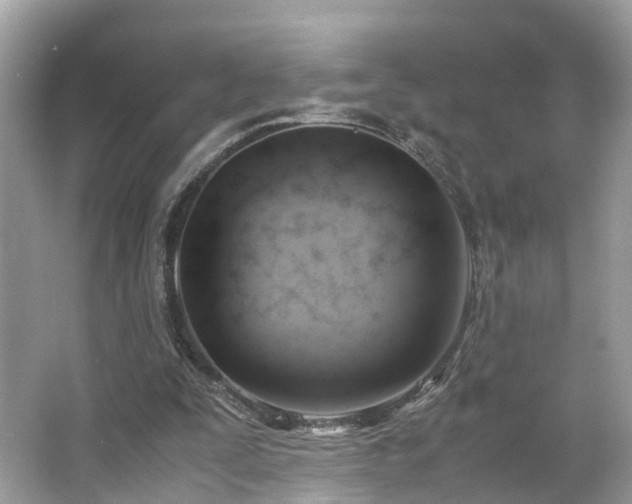 X0000063460295200601231425