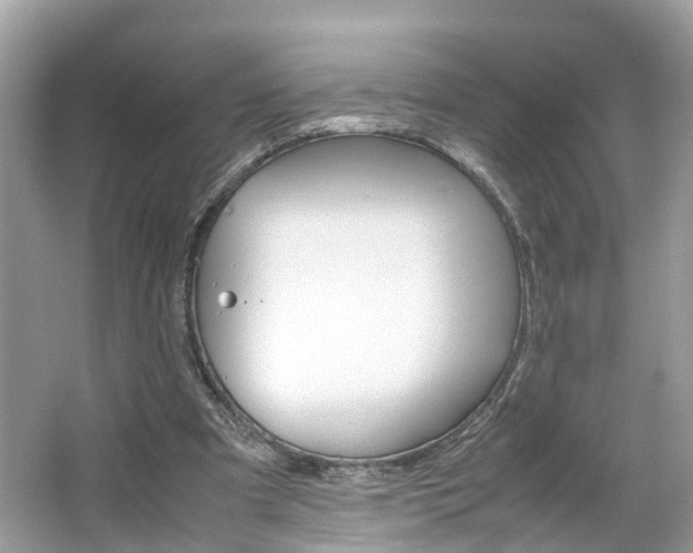 X0000063460297200601231425