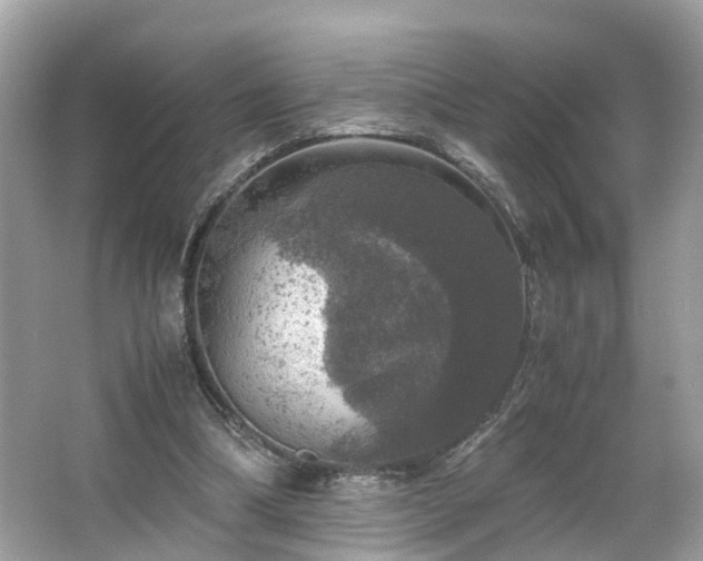 X0000063460298200601231425