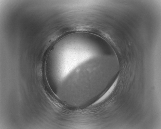 X0000063460299200601231425