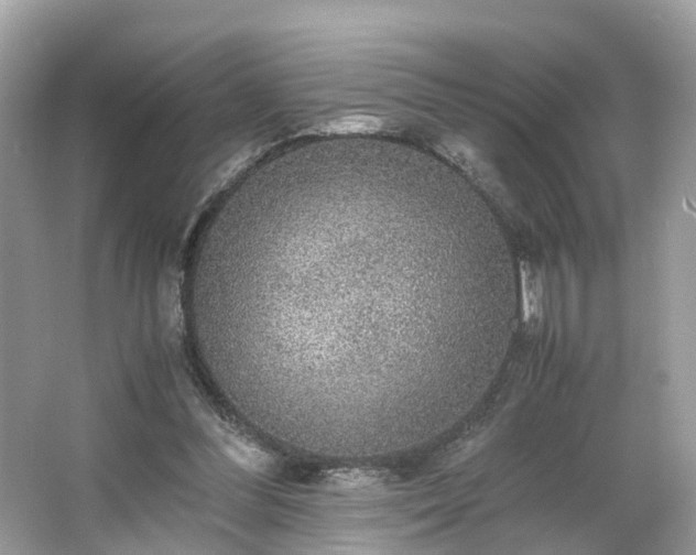 X0000063460300200601231425