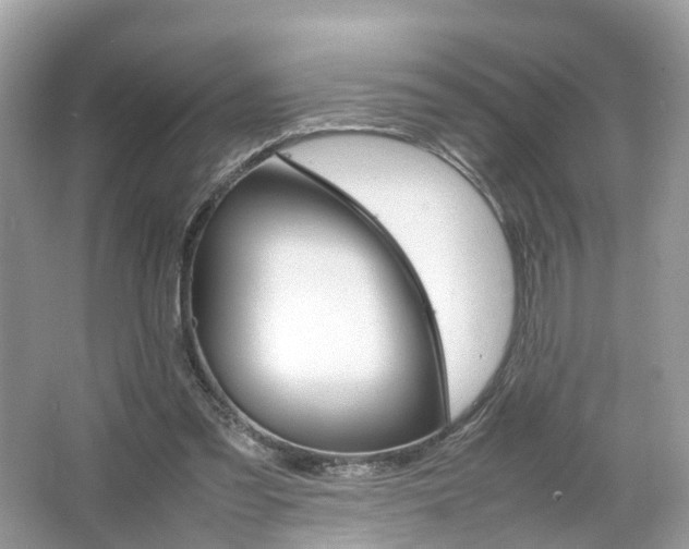 X0000063460301200601231425