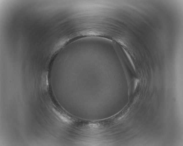 X0000063460302200601231425